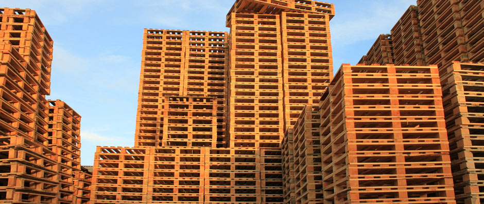 Palettes neuves